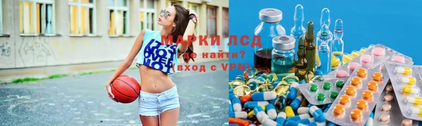 мяу мяу мука Белокуриха