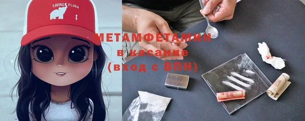 мяу мяу мука Белокуриха