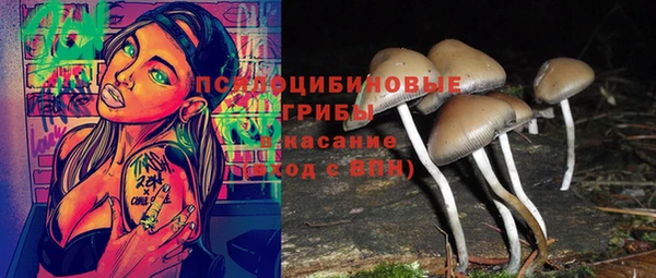 мяу мяу мука Белокуриха