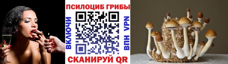 Псилоцибиновые грибы Psilocybine cubensis  Купить где  Ленск 